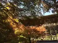 圓教寺(兵庫県)