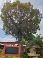 豊中稲荷神社(大阪府)