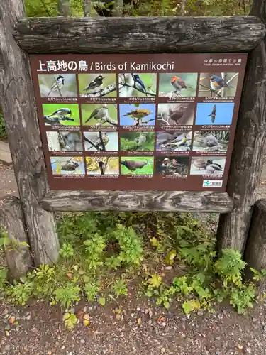 穂高神社奥宮の歴史