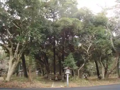大洗磯前神社の自然
