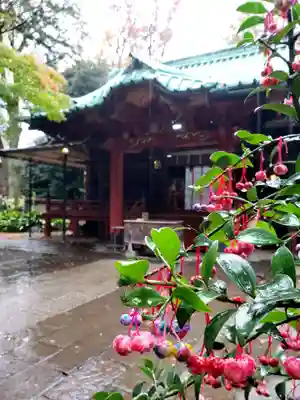赤坂氷川神社(東京都)