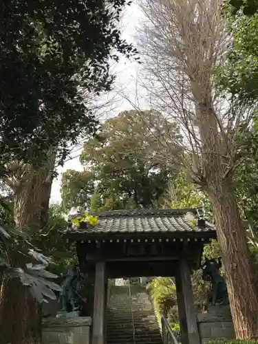 城願寺の山門