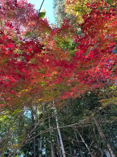 円光寺(三重県)