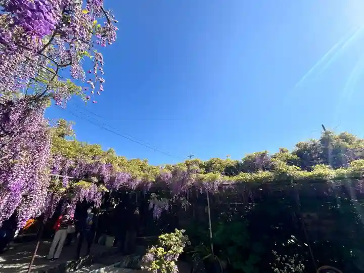 市場稲荷神社(大阪府)