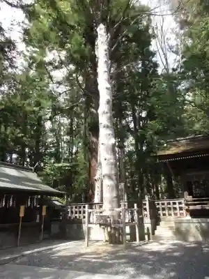 諏訪大社下社秋宮のその他建物