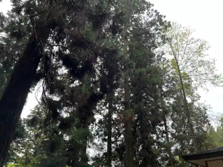 大宮温泉神社(栃木県)