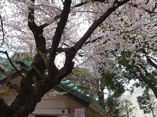 駒込天祖神社の自然