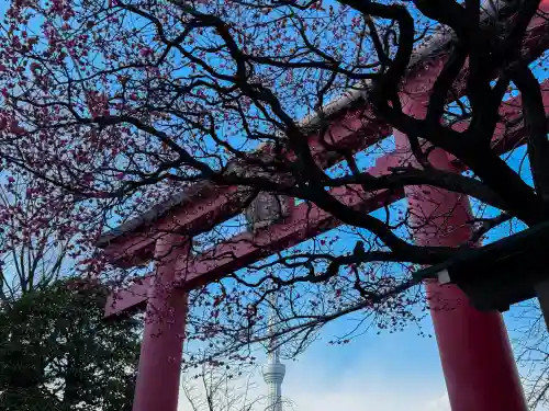 亀戸天神社の{uncategorized: "未分類", other: "その他", undefined: "問題あり", building: "その他建物", grave: "お墓", sacred_gate: "鳥居", guardian: "狛犬", statue: "像", buddha: "仏像", history: "歴史", nature: "自然", garden: "庭園", animal: "動物", pagoda: "塔", temizu: "手水舎", mountain_gate: "山門・神門", sanctuary: "本殿・本堂", subordinate: "末社・摂社", art: "芸術", scenery: "景色", jizo: "地蔵", ema: "絵馬", goshuin: "御朱印", omikuji: "おみくじ", items: "授与品その他", amulet: "お守り", goshuincho: "御朱印帳", eats: "食事", festival: "お祭り", votive_dance: "神楽", shichigosan: "七五三参", wedding: "結婚式", experience: "体験その他", initially: "初詣", around: "周辺", anti_infection: "感染症対策"}