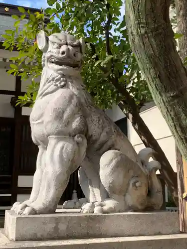 鳥越神社の狛犬