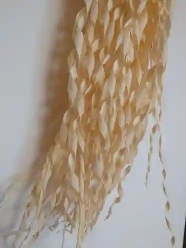 入間川大国神社(埼玉県)