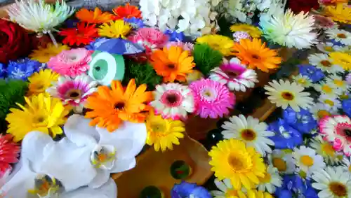 札幌諏訪神社の手水舎