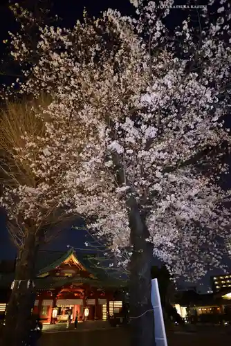 神田神社（神田明神）のその他建物