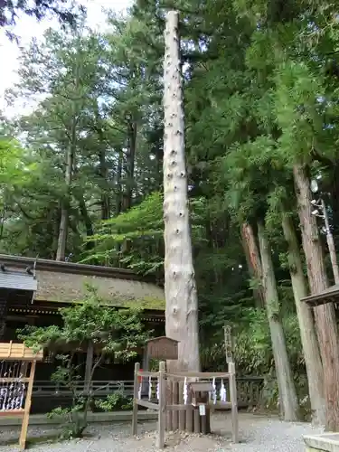 諏訪大社下社春宮の自然