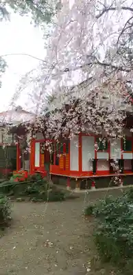 冠稲荷神社(群馬県)