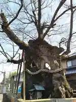 中山神社(岡山県)
