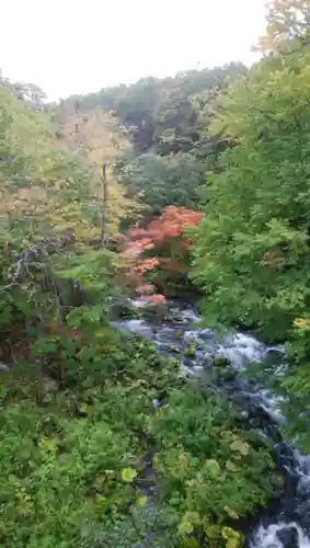 鳥取神社の自然