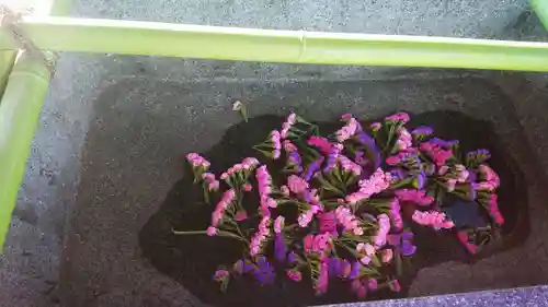 青宮寺の手水舎