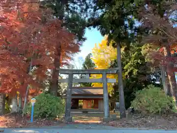 稲荷神社(千葉県)