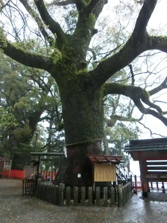 熊野那智大社の自然