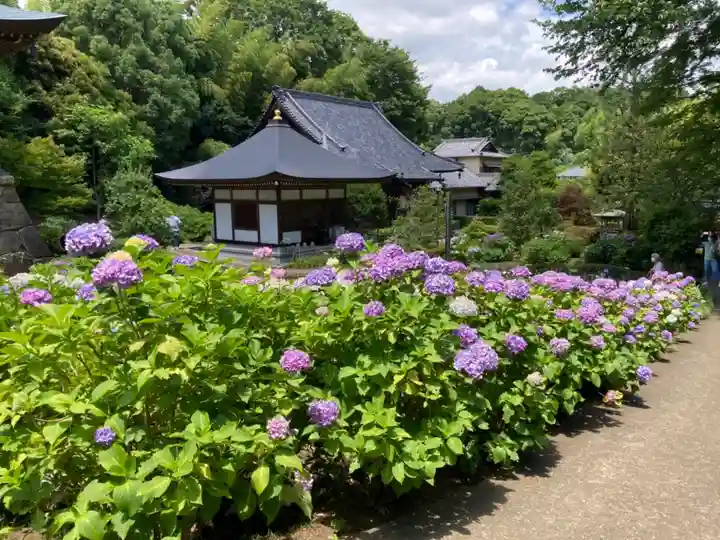 天台宗 長窪山 正覚寺の庭園