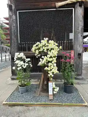 高幡不動尊　金剛寺(東京都)