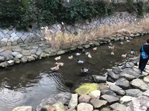 忌宮神社の自然