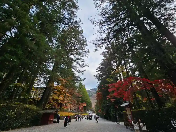 日光東照宮(栃木県)