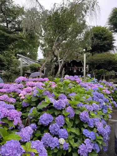 白山神社の自然