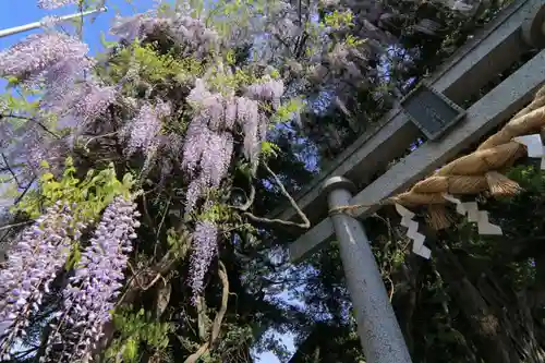 春日神社の鳥居