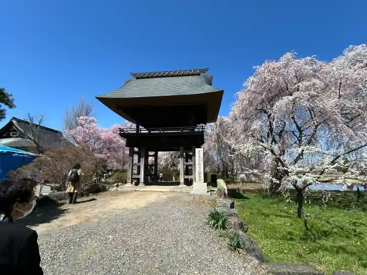 安養寺の{uncategorized: "未分類", other: "その他", undefined: "問題あり", building: "その他建物", grave: "お墓", sacred_gate: "鳥居", guardian: "狛犬", statue: "像", buddha: "仏像", history: "歴史", nature: "自然", garden: "庭園", animal: "動物", pagoda: "塔", temizu: "手水舎", mountain_gate: "山門・神門", sanctuary: "本殿・本堂", subordinate: "末社・摂社", art: "芸術", scenery: "景色", jizo: "地蔵", ema: "絵馬", goshuin: "御朱印", omikuji: "おみくじ", items: "授与品その他", amulet: "お守り", goshuincho: "御朱印帳", eats: "食事", festival: "お祭り", votive_dance: "神楽", shichigosan: "七五三参", wedding: "結婚式", experience: "体験その他", initially: "初詣", around: "周辺", anti_infection: "感染症対策"}