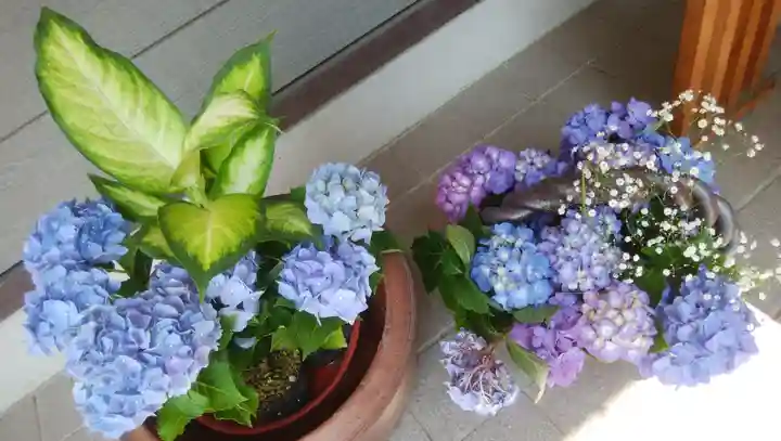 厚別神社(北海道)