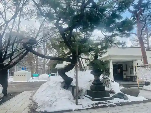 彌彦神社　(伊夜日子神社)の{uncategorized: "未分類", other: "その他", undefined: "問題あり", building: "その他建物", grave: "お墓", sacred_gate: "鳥居", guardian: "狛犬", statue: "像", buddha: "仏像", history: "歴史", nature: "自然", garden: "庭園", animal: "動物", pagoda: "塔", temizu: "手水舎", mountain_gate: "山門・神門", sanctuary: "本殿・本堂", subordinate: "末社・摂社", art: "芸術", scenery: "景色", jizo: "地蔵", ema: "絵馬", goshuin: "御朱印", omikuji: "おみくじ", items: "授与品その他", amulet: "お守り", goshuincho: "御朱印帳", eats: "食事", festival: "お祭り", votive_dance: "神楽", shichigosan: "七五三参", wedding: "結婚式", experience: "体験その他", initially: "初詣", around: "周辺", anti_infection: "感染症対策"}