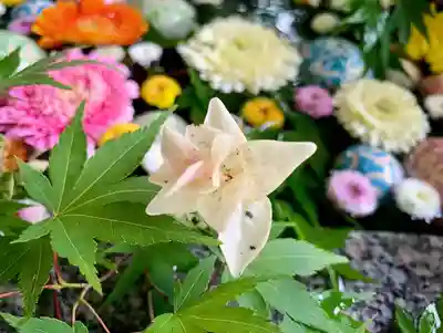 滑川神社 - 仕事と子どもの守り神の手水舎