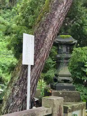 椿原天満宮(石川県)