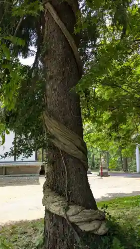日高神社(北海道)