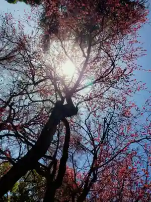 田端神社(東京都)