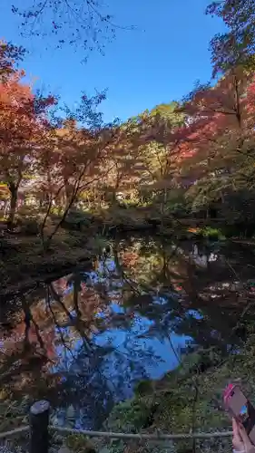 圓光寺(京都府)