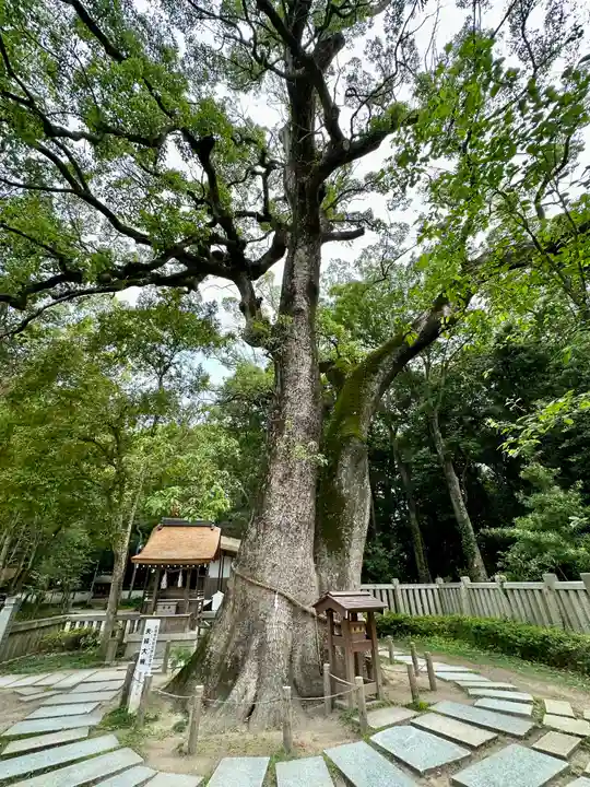 伊弉諾神宮(兵庫県)