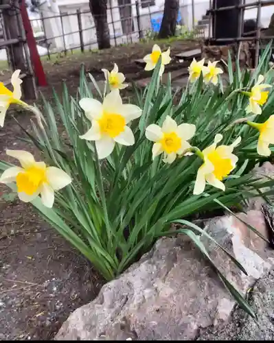 発寒神社(北海道)