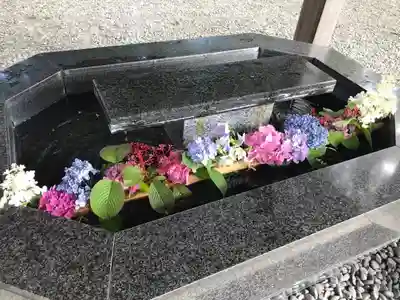 新琴似神社の手水舎