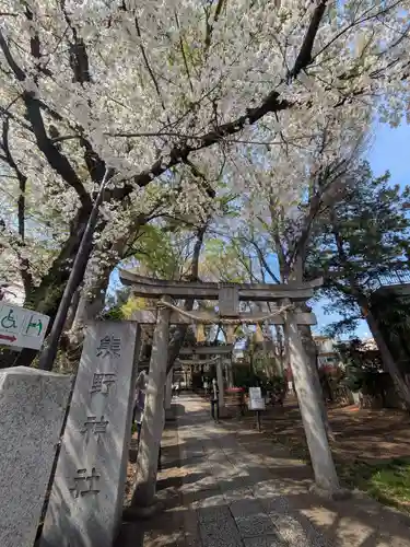 自由が丘熊野神社(東京都)