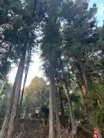 大宮温泉神社(栃木県)