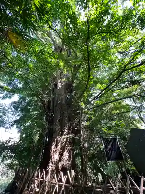 王子神社(東京都)