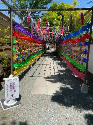 宝徳寺の{uncategorized: "未分類", other: "その他", undefined: "問題あり", building: "その他建物", grave: "お墓", sacred_gate: "鳥居", guardian: "狛犬", statue: "像", buddha: "仏像", history: "歴史", nature: "自然", garden: "庭園", animal: "動物", pagoda: "塔", temizu: "手水舎", mountain_gate: "山門・神門", sanctuary: "本殿・本堂", subordinate: "末社・摂社", art: "芸術", scenery: "景色", jizo: "地蔵", ema: "絵馬", goshuin: "御朱印", omikuji: "おみくじ", items: "授与品その他", amulet: "お守り", goshuincho: "御朱印帳", eats: "食事", festival: "お祭り", votive_dance: "神楽", shichigosan: "七五三参", wedding: "結婚式", experience: "体験その他", initially: "初詣", around: "周辺", anti_infection: "感染症対策"}