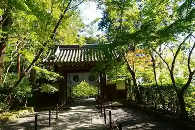 光明寺（粟生光明寺）の山門・神門
