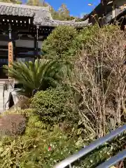 妙大寺の建物その他