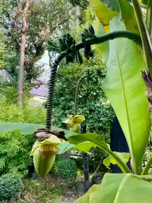 洞雲寺(東京都)
