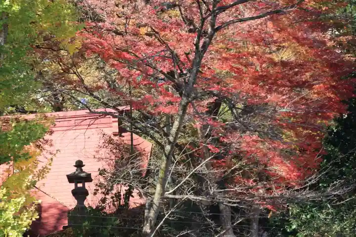 愛宕神社の景色