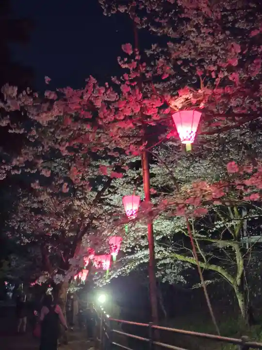 長谷寺(神奈川県)