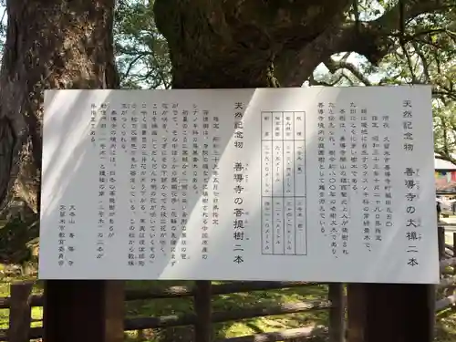 善導寺(福岡県)